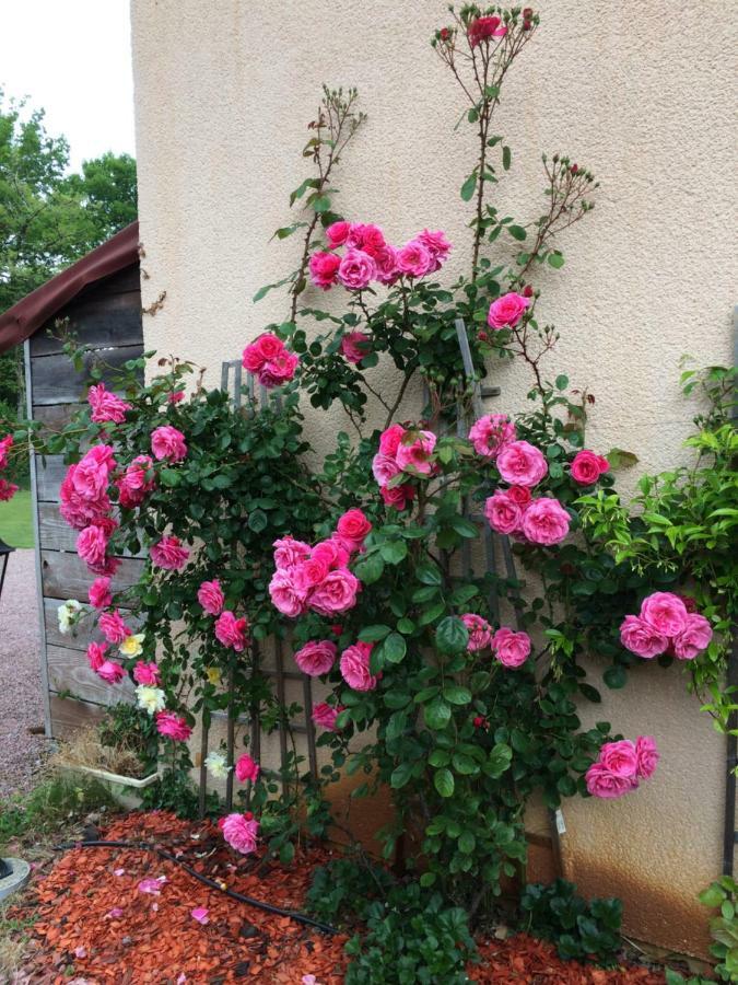 La Mimona Bed & Breakfast Sainte-Eulalie-en-Born Eksteriør bilde